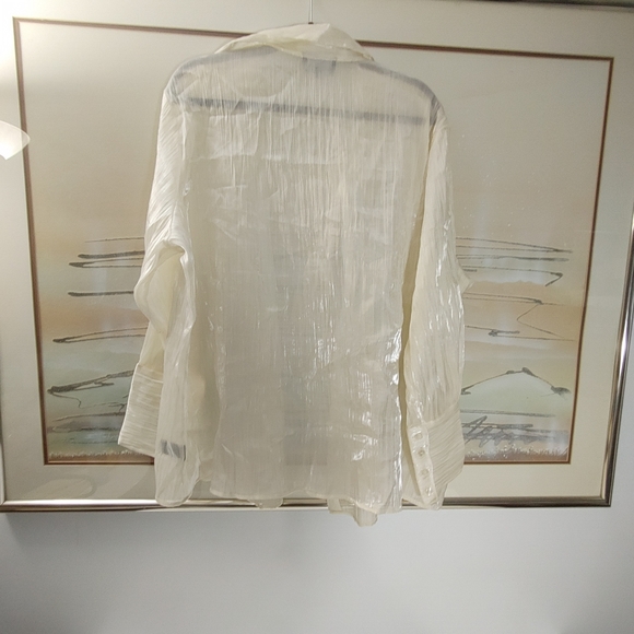 Addition-Elle Chiffon Long Sleeve Blouse Size 22 - Picture 4 of 8